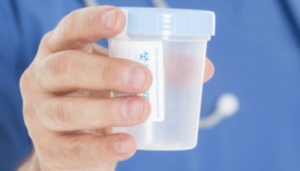 Everything You Should Know About Urine Drug Test And Fake Urine Kit - 2
